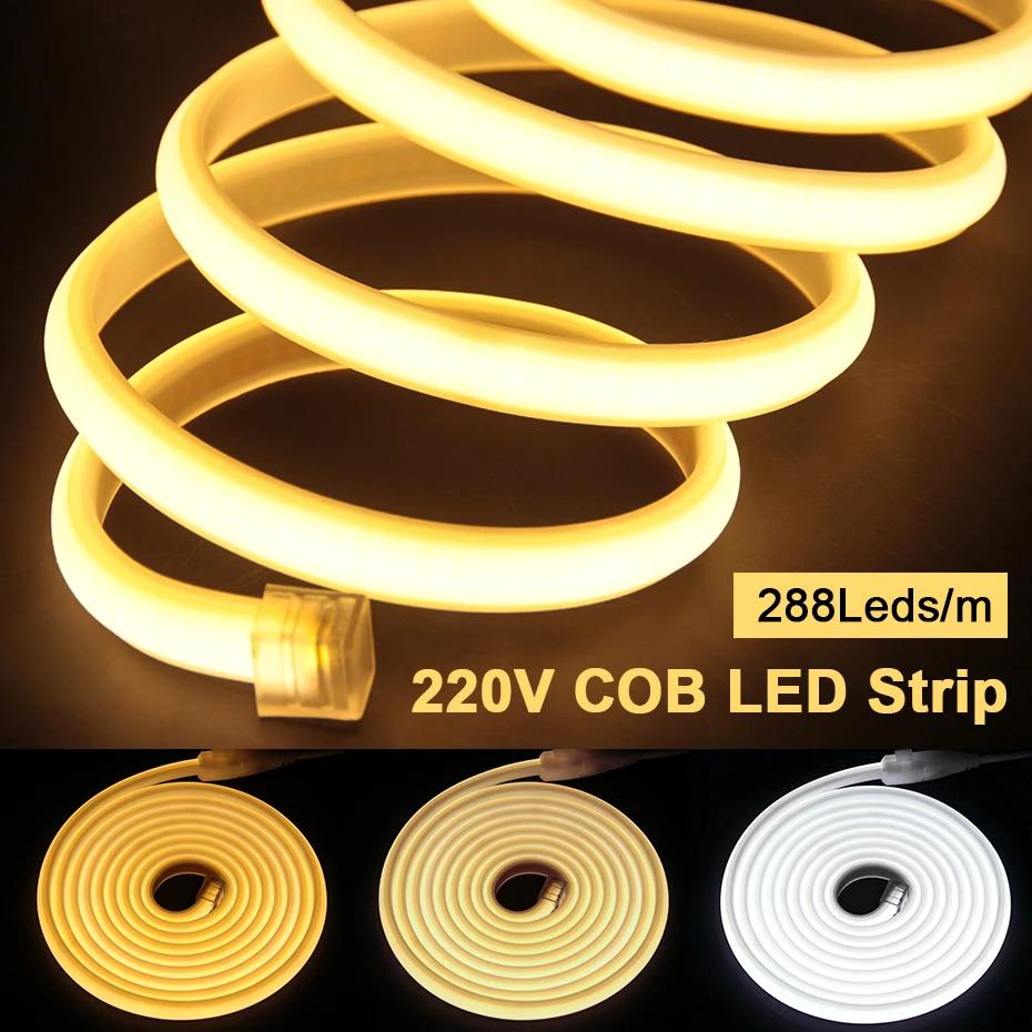 COB Ʈ Ʈ, ſ  288LED/M   Ʈ, 3000-6000K COB LED Ʈ ,   EU ÷ , 220V